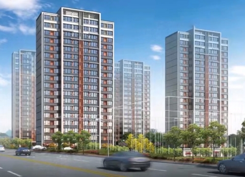 ������Ϣ��2025.12.31��